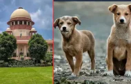 कुत्ते को लेकर हुए झगड़े में 30 साल तक चला मुकदमा, 22 वर्षीय युवा 52 साल के हो गए; हाई कोर्ट ने किया मामले का निपटारा